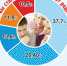 59c4e63b3e2981506076219643_tn - Вечер Елабуги