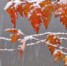 first-snow24 - Вечер Елабуги