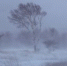 580273_snow_storm_16116 - Вечер Елабуги