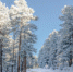 106719-ded_moroz-zima-les-gornyj_hrebet-youtub-1920x1200 - Вечер Елабуги