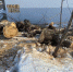 img-20200317-wa0010_1 - Елабужский район