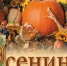 В Елабуге состоится всенародный конкурс – фестиваль “Осенины” - Елабужский район