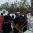 d4_1 - Елабужский район