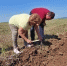 В районе прошел конкурс механизаторов. - Елабужский район