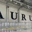 Aurus не будет останавливать производство автомобилей - Газета Новая Кама