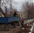 В Елабуге продолжается высадка саженцев деревьев - Газета Новая Кама