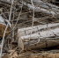 izobrazhenie_2023-04-07_151619213 - Елабужский район