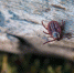 izobrazhenie_2023-05-11_100556992 - Елабужский район