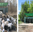 В Елабуге проведена огромная работа по ликвидации свалок - Газета Новая Кама