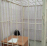 Елабужанина приговорили к 10 годам тюрьмы за убийство - Газета Новая Кама