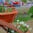 dscf1772_1 - Елабужский район
