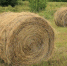izobrazhenie_2023-09-15_144227100 - Елабужский район