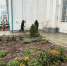 В Спасском соборе завершили работу по укладке отмостки - Газета Новая Кама