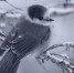 skrinshot_02-02-2024_142528 - Елабужский район
