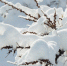 skrinshot_06-02-2024_145424 - Елабужский район