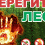Штормовое предупреждение о высокой и чрезвычайной пожарной опасности лесов на территории Республики Татарстан (активная интернет-ссылка на раздел - Елабужский район