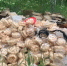 В Татарстане обнаружена свалка из баурсака - Газета Новая Кама