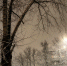 4f4e93c0-04ff-4826-a8c8-61df3c8949f6 - Елабужский район
