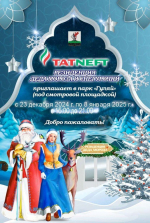 skrinshot-23-12-2024-162103