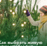c6660bd7-b712-4478-933a-0149b8b80e32 - Елабужский район