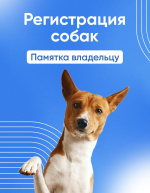 1-1