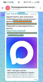 В Татарстане состоялся пробный сеанс телемедицины в мессенджере MAX