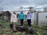 Педагоги Елабуги преобразили территорию Детского эколого-биологического центра